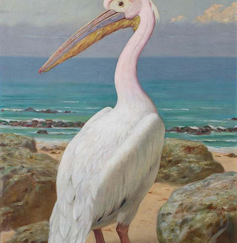 Henry Stacy Marks RA (1829-1898) "Pelican"